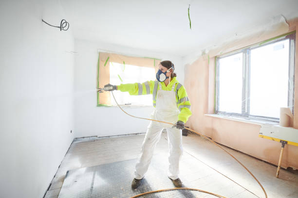 Reliable Reese, MI Mold Removal Solutions