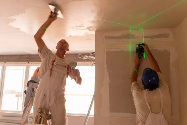 Best Real Estate Mold Inspection  in Reese, MI