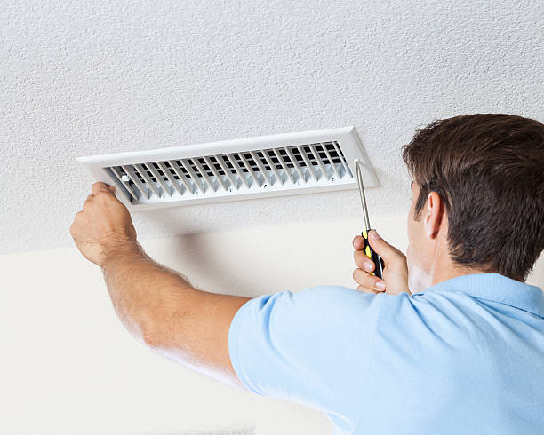 Best Industrial Mold Remediation  in Reese, MI
