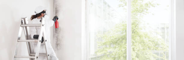 Best Biohazard Mold Removal  in Reese, MI